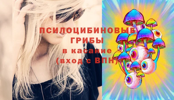 хмурый Куйбышев