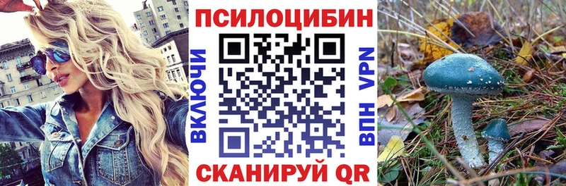 Псилоцибиновые грибы мухоморы  Купить  Знаменск 